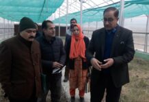 Centre of Excellence, Hi-Tech Walnut nursery to produce high quality fruit plants: Director Horticulture