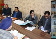 Chief Secretary reviews issues of public importance with DCs