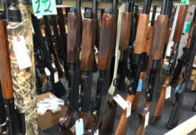 Guns In The Government