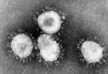 Coronavirus: 44 Kashmiris In Home Quarantine