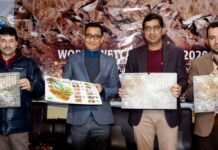 Govt going tough on encroachments along wetlands, other water bodies: DC Srinagar