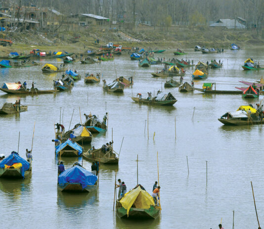 Traditional sand diggers manually excavating sand from river Jhelum. KL Image by Mehraj Bhat
