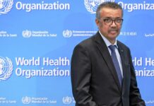 Coronavirus not manipulated or constructed: WHO