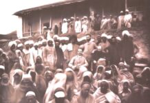 Those Cholera Carnage’s