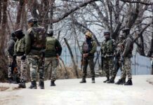 Militant killed in Baramulla shootout