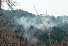 India, Pak armies exchange fire along LoC in Uri