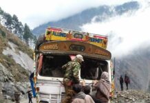 Two killed, many injured in separate road mishaps
