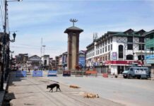 How BJP’s Political Gamble Doomed Jammu and Kashmir Economy?