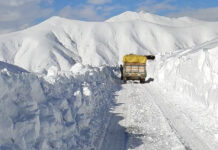After 6 months, fresh vegetables and essentials dispatched to Gurez Valley