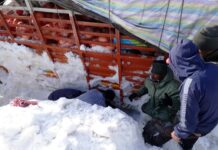 One dead, another injured after snow avalanche hits Zojila Pass