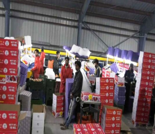 Apple Season: Cold Storage Space Fills Up Across Kashmir