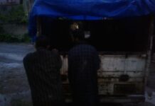 Gang of cattle thieves busted in south Kashmir