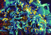 Kashmir: HIV Enters Schools