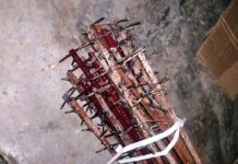 China used nail-studded iron rods to kill soldiers : Report