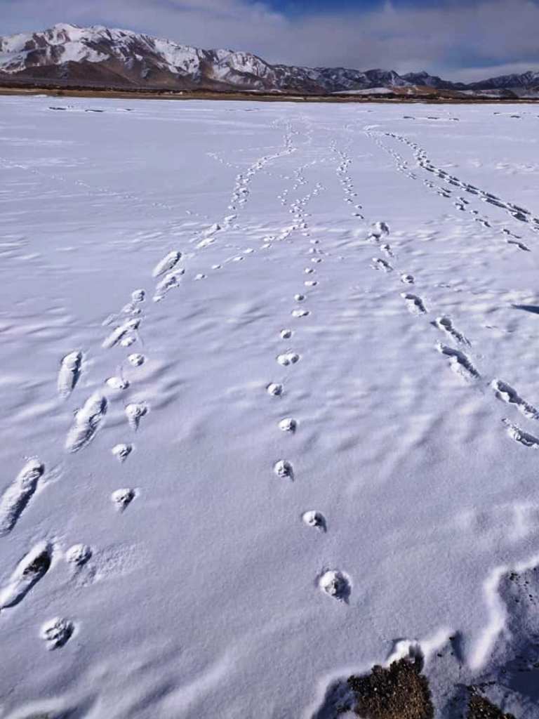 Footprints of the intrusion This were the marks that the intruding Chinese soldier left after returning from Demchok in December 2019