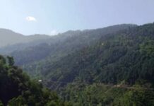 Two Army Porters Injured After Slipping Down Hill