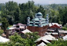 South Kashmir Encounters: Police Version