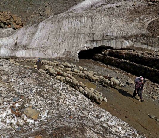 ISRO Maps Over 2,000 Glaciers, 3,219 Glacial Lakes in Ladakh for Disaster Management