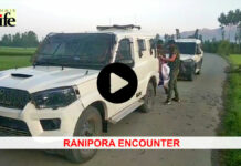 Ranipora Encounter