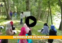 Schools Do Function