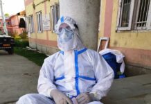 Chinese Virologists Say New Bat Coronavirus Could Infect Humans via Same Route as Covid-19
