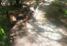 Hideout Busted In South Kashmir: Police