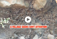 A Village Seeks Govt Attention