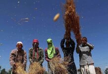 No Independent Review of 2,205 PMKSKs’ Impact on Jammu Kashmir Farmers: Centre