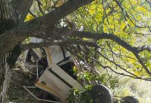Driver Killed In Road Accident