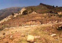 Three Ancient Fossil Sites in Anantnag to be Preserved for Research, Geo-tourism Growth