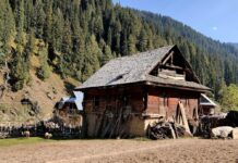 Design A Rural Development Project and SBI Will Fund You For A Year