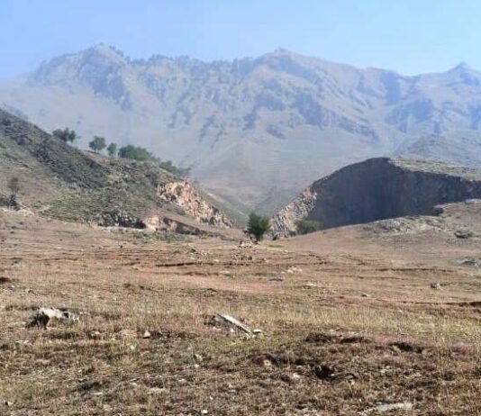 Guryul Ravine Protection Notification Still Awaited as EPG Flags Industrial Activity Near Fossil Site