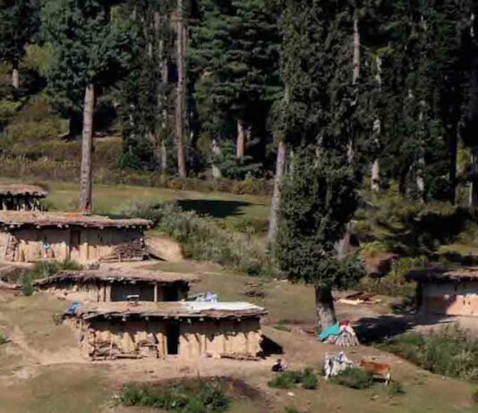 Jammu Kashmir Sets Guidelines to Protect Forests, Ensure Tribal Rights Under FRA
