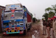 Cleaner Of Truck Electrocuted In Punjab