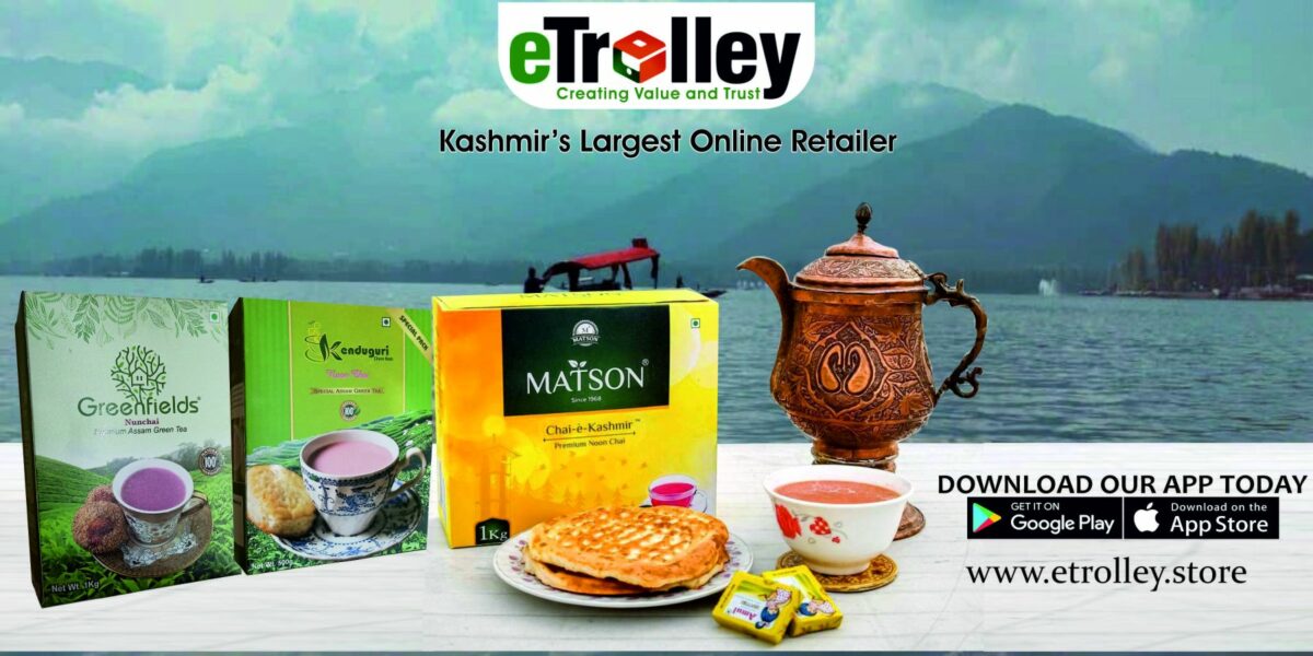 ETROLEEY NEW DESIGN FOR KASHMIR LIFE 22