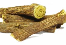 Why Shangri Used In Winter Kashmir Kehwa Holds Future For Skin Beauty And Aging?