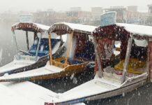 Flights Cancelled, Highway Closed Due To Snowfall