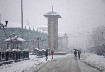 Srinagar Prepares Fully to Tackle Snowfall, Says Commissioner