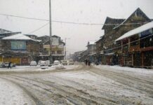 Kashmir Witnesses Fresh Snowfall, Heavy Snow Likely In Higher Reaches Today