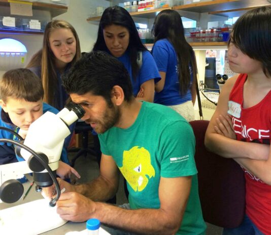 Careers After 12th: 5 Top Career Choices for Students Passionate About Chemistry