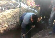 In Video, Father Digs Grave For His Slain Son, Seeks Mortal Remains