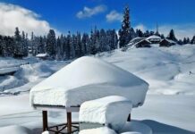 How Avalanches Are Linked To Climate Change In Kashmir?