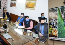 Lt Governor Reviews Srinagar Smart City Project
