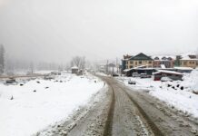 Fresh Snowfall in Higher Reaches of Kashmir, Srinagar Receives Rainfall