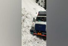 Driver Trapped Under Snow Along With His Vehicle Rescued In North Kashmir