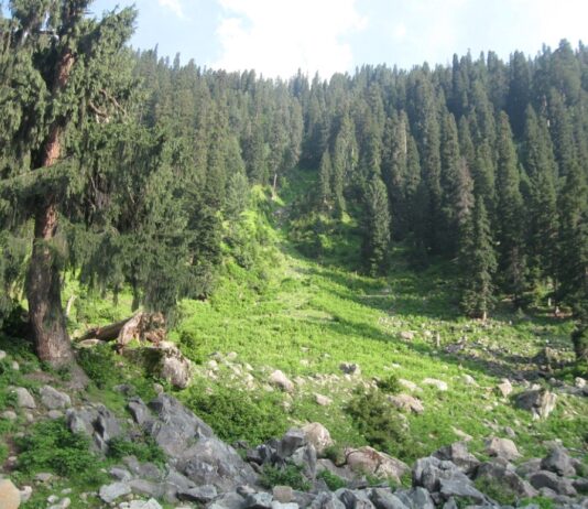 Jammu Kashmir Forest Rights Coalition Seeks Time-Bound Review of Rejected Claims