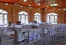 An Interview With Dr Anthony Fauci