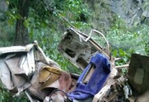 Infant Among 4 Persons Killed, 4 Others Injured As Load Carrier Falls Into Gorge