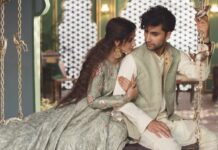 Kashmir Controversy Forces Zindagi Gulzar Hai Writer Flee Twitter