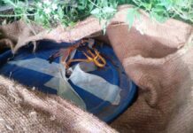 Liquid Explosives Resurface in JK Militancy After 17 Years: Officials